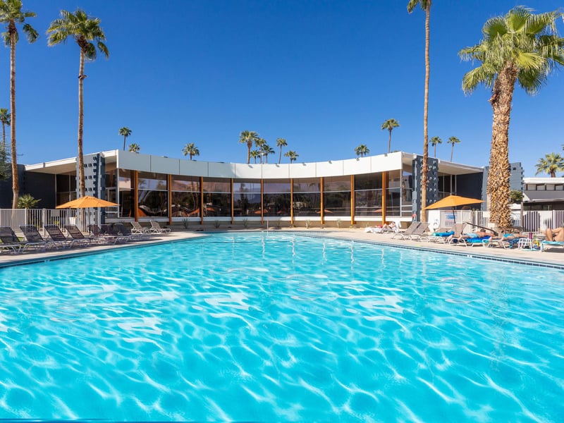 Early morning dip in the pool