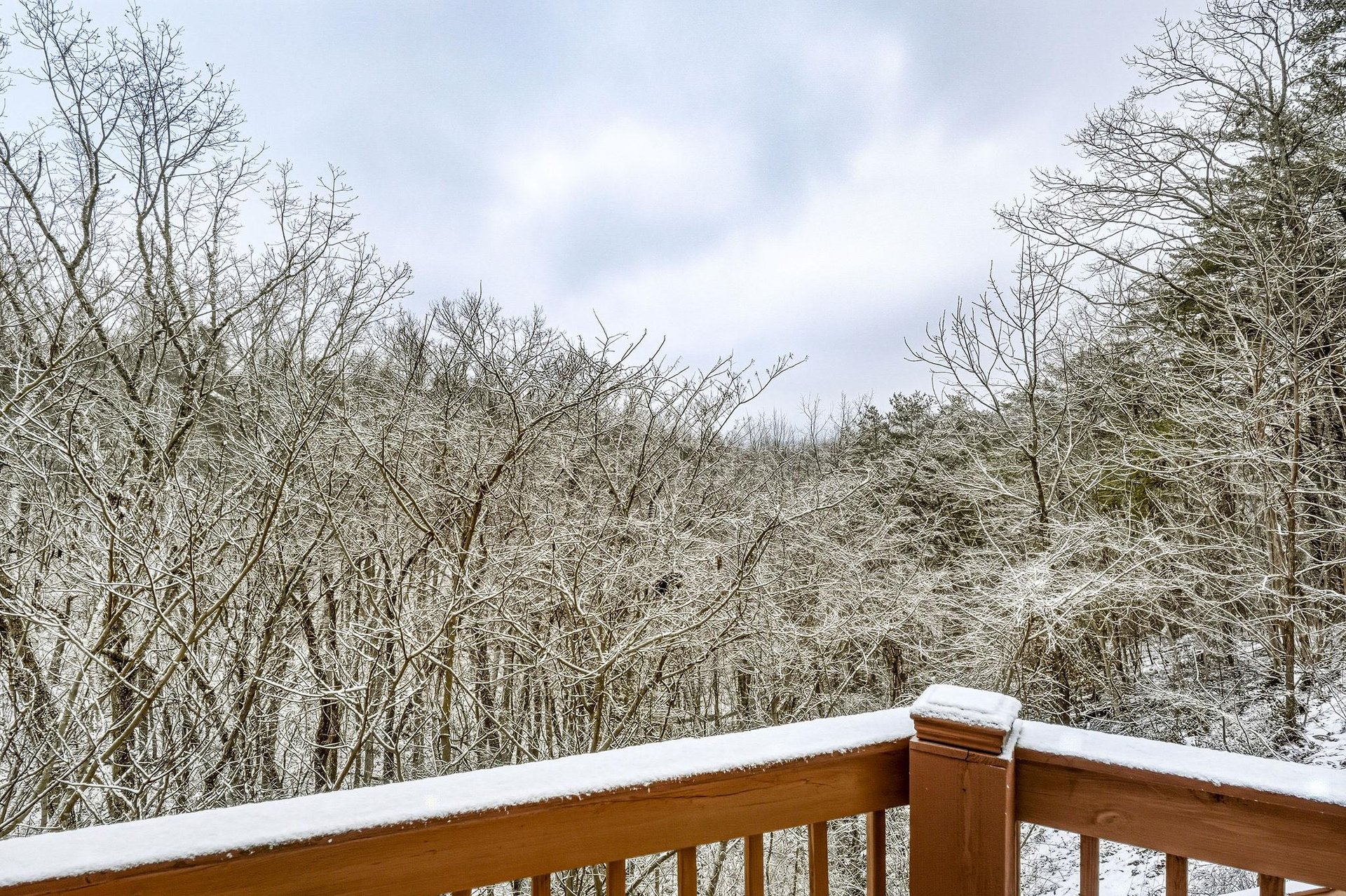 Snowcovered balcony overlooking a winter forest landscape with frostkissed trees.