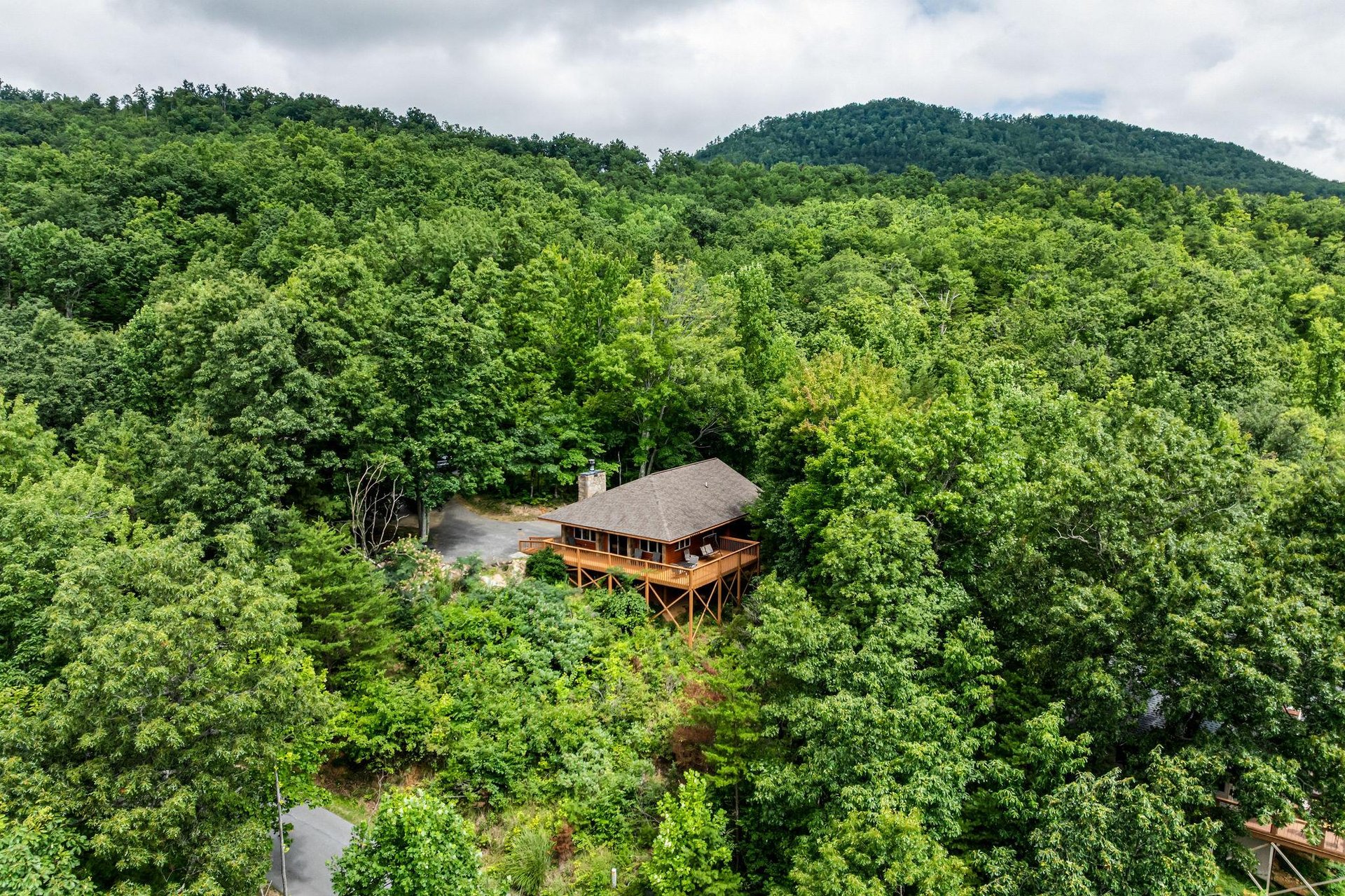 dancinginthemoonlight33