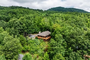 dancinginthemoonlight33