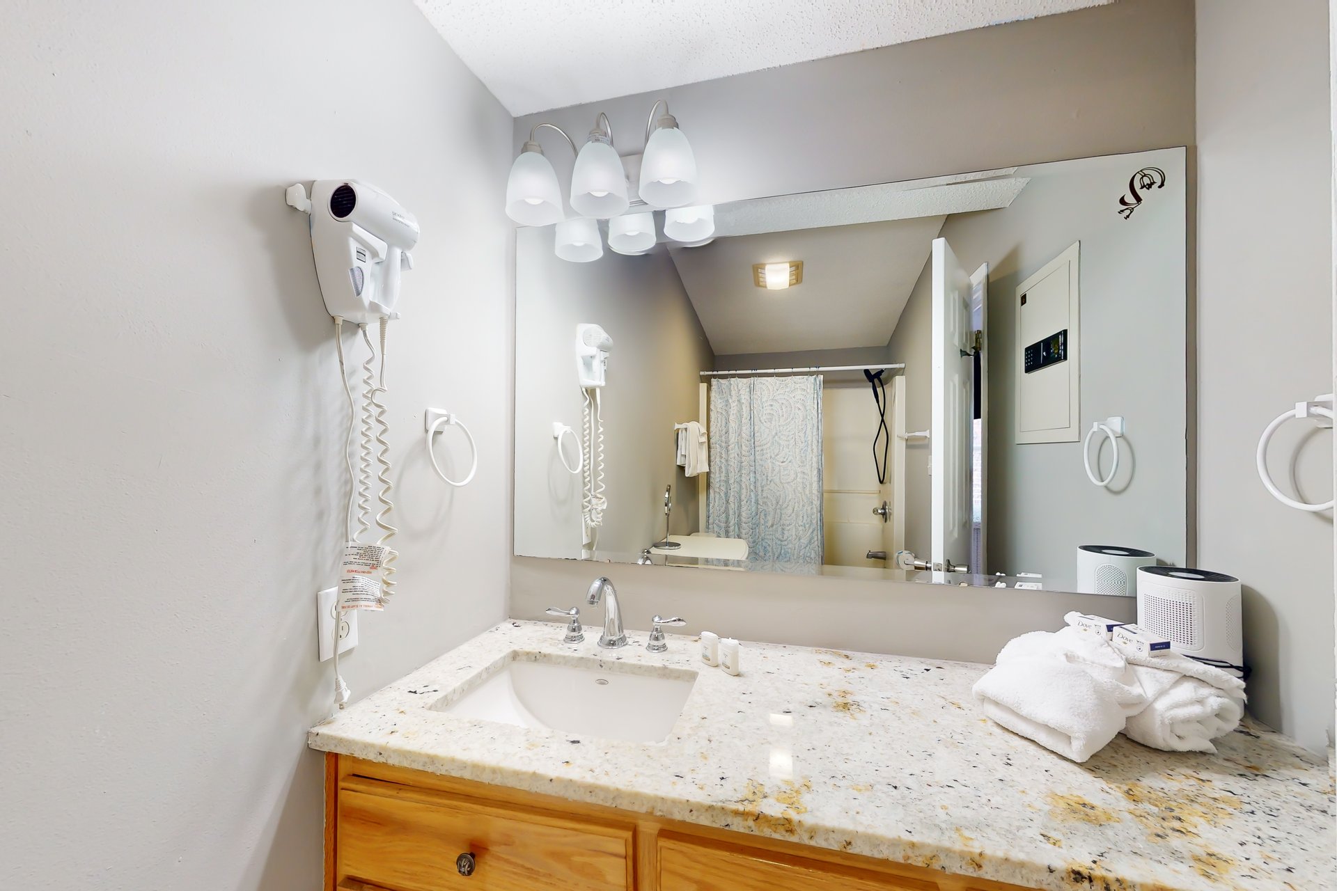 The Purple Palmetto 18