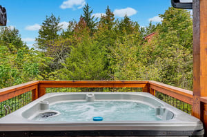 Unwind in your private hot tub surrounded by treetops and open sky—pure relaxation awaits after a day of exploring.