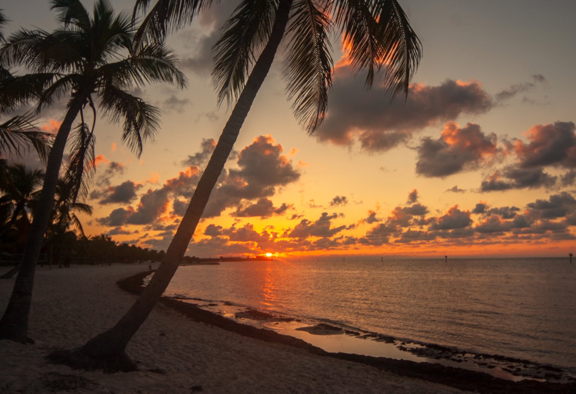 Truman  Duval  Studio A 21