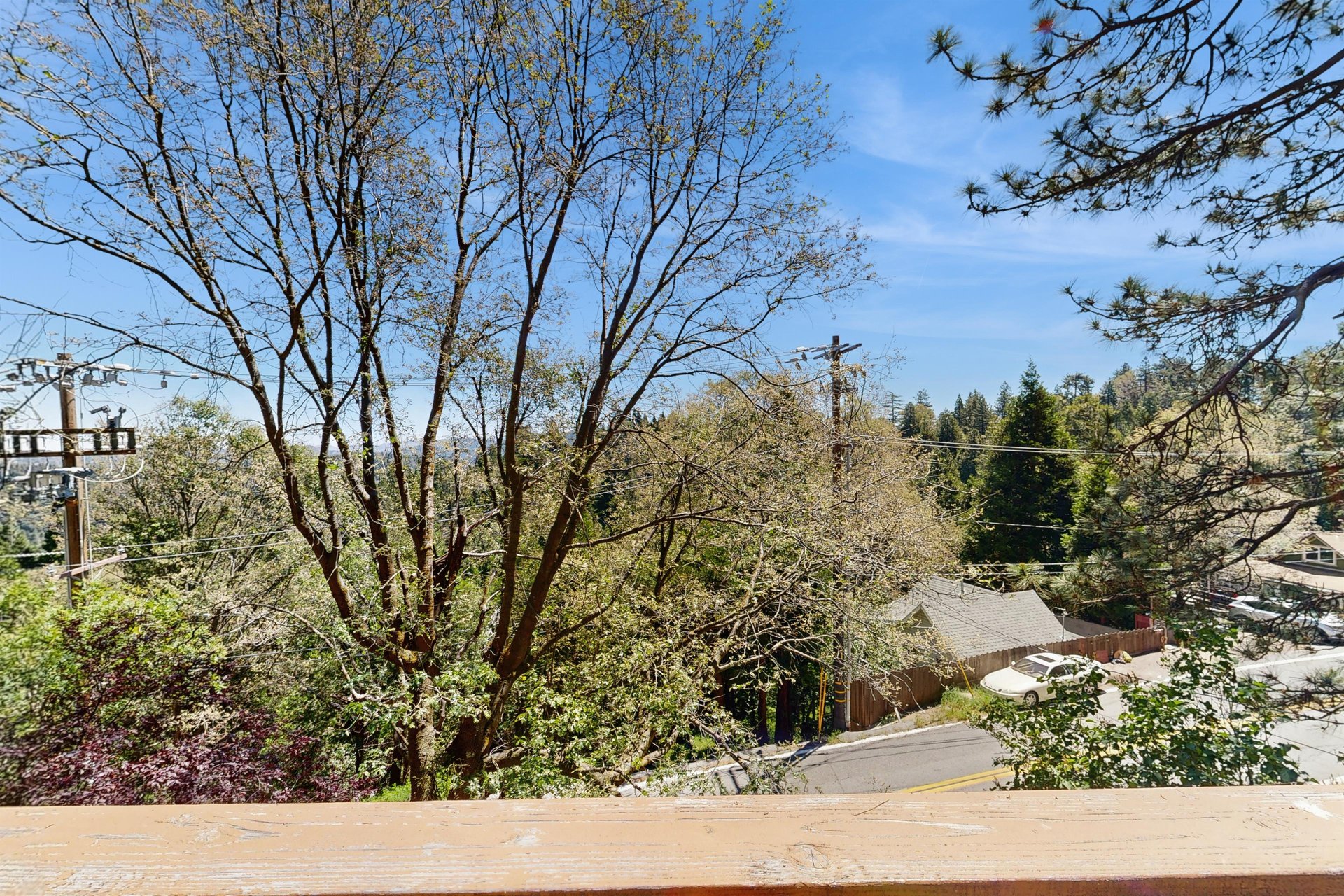 Gorgeous treetop views.