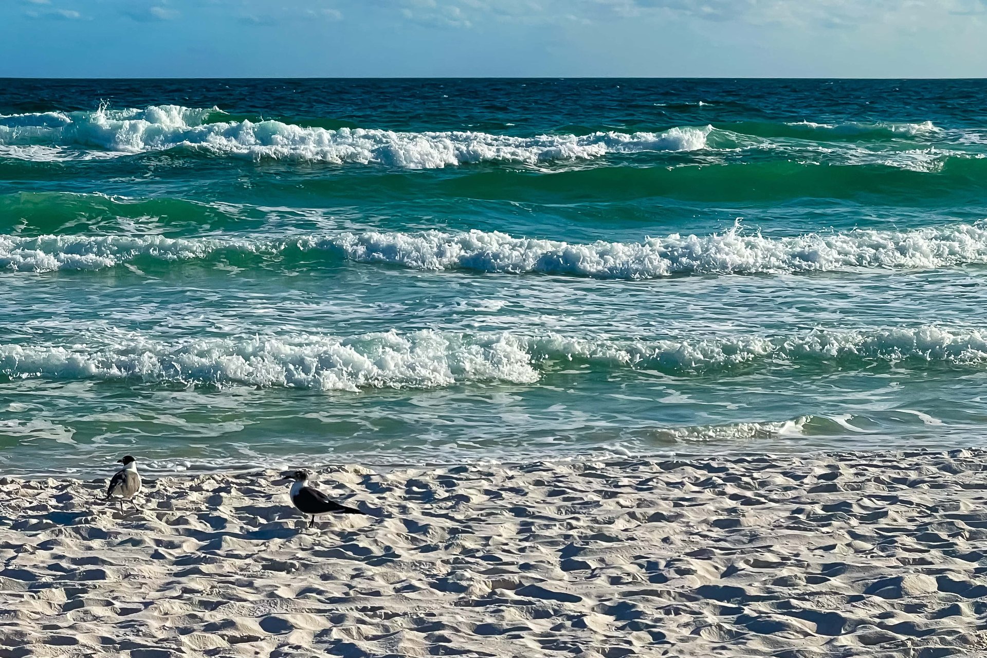 Emerald Dolphin 540 33