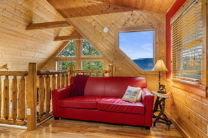 sleeper sofa