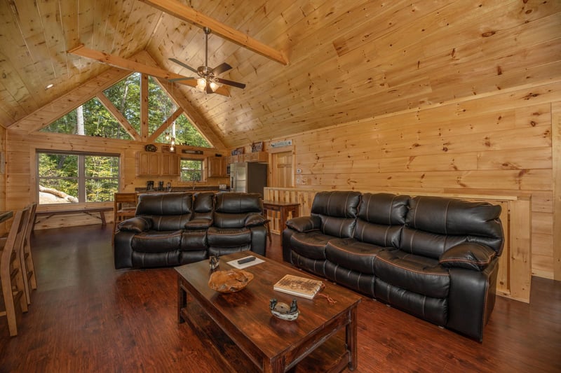 Living room couches with coffee table