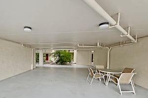3367124.jpg