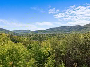 View from Mountain Bliss cabin