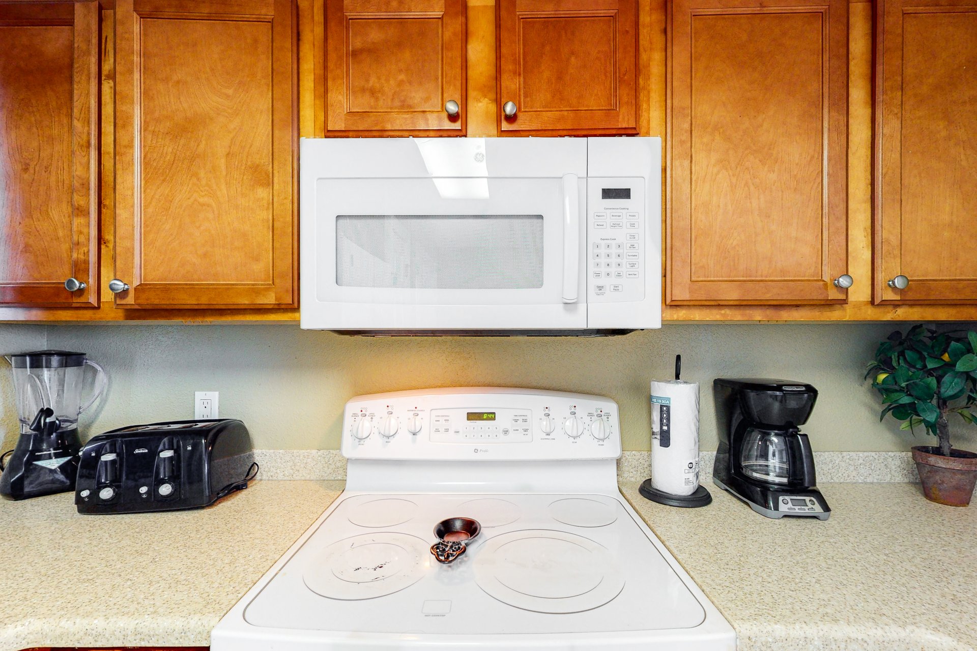 Emerald Dolphin 0620 7