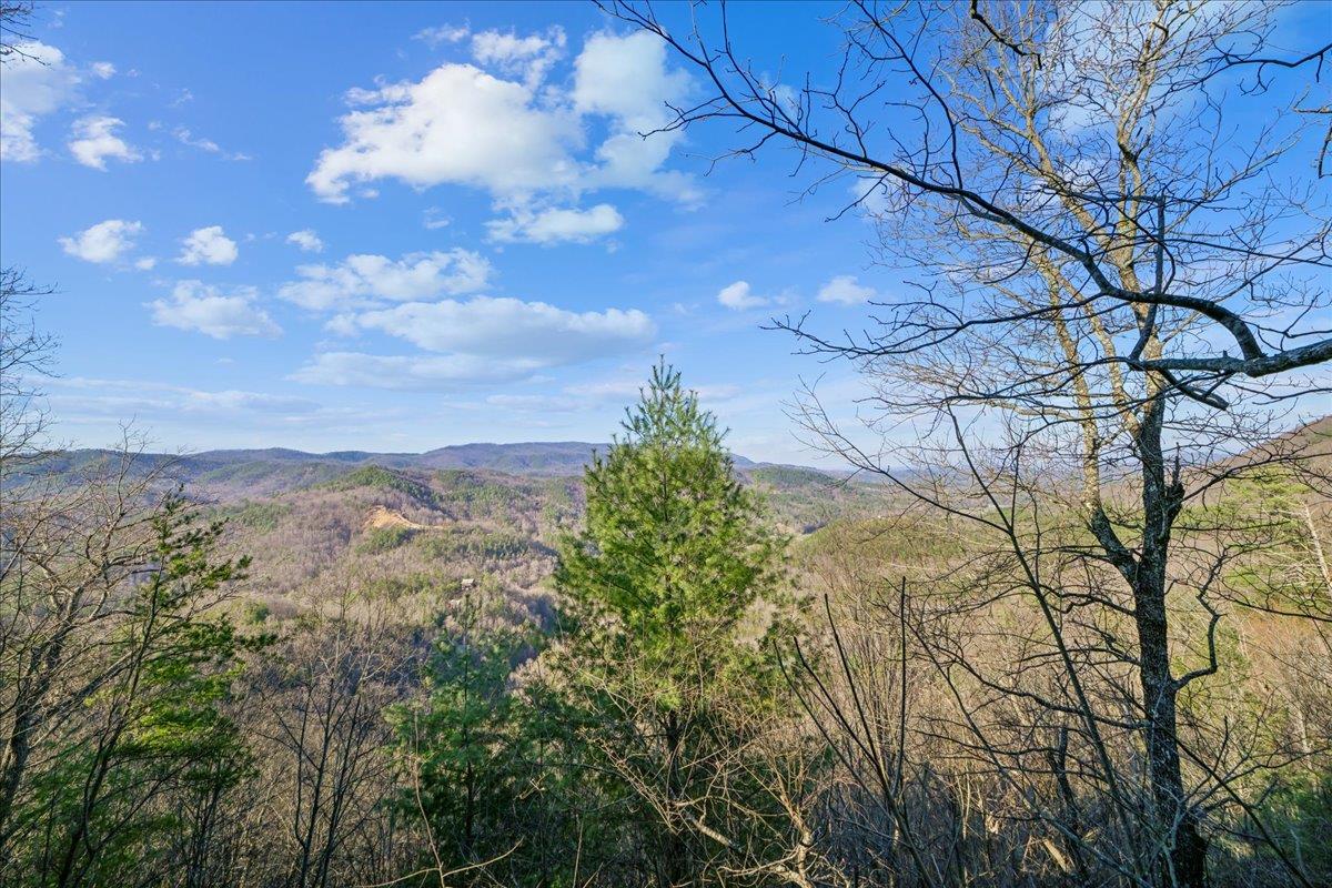 41View