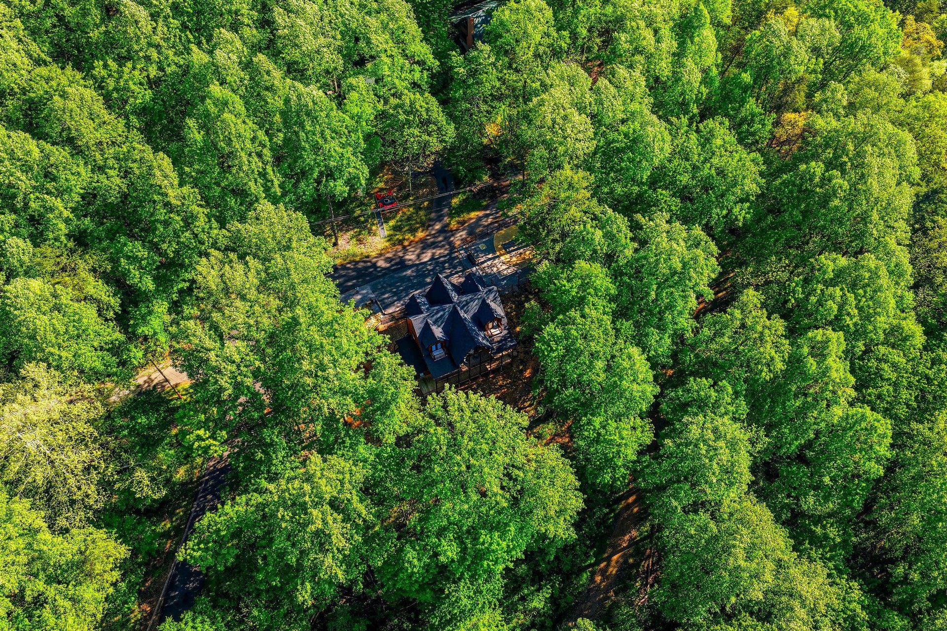Aerial view reveals this secluded forest retreat nestled among towering trees, offering complete privacy and natural tranquility in a pristine woodland setting.