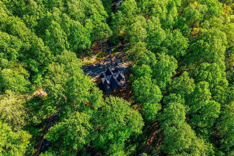 Aerial view reveals this secluded forest retreat nestled among towering trees, offering complete privacy and natural tranquility in a pristine woodland setting.