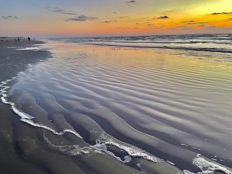 tranquility_bert e.
