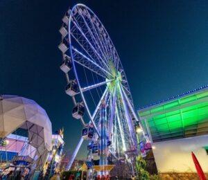 TheIslandgreen300x260