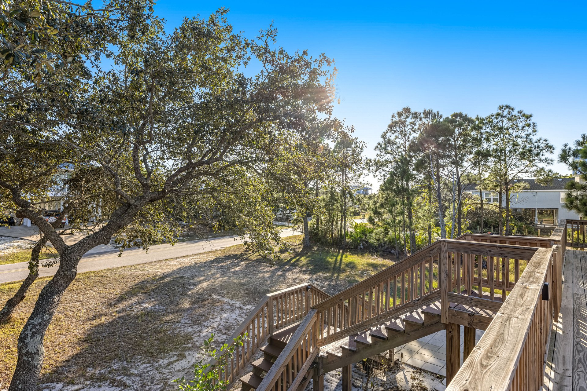 The Purple Palmetto 23