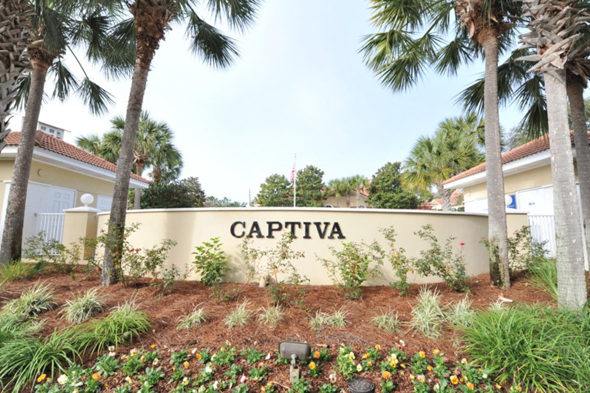 TOPSL Captiva 36 25