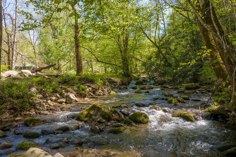 Creek