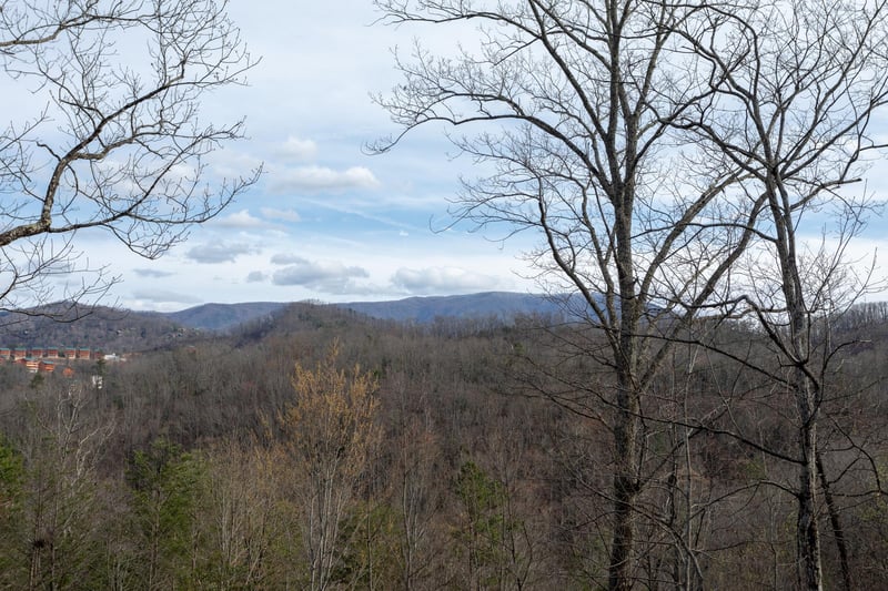 Width1920