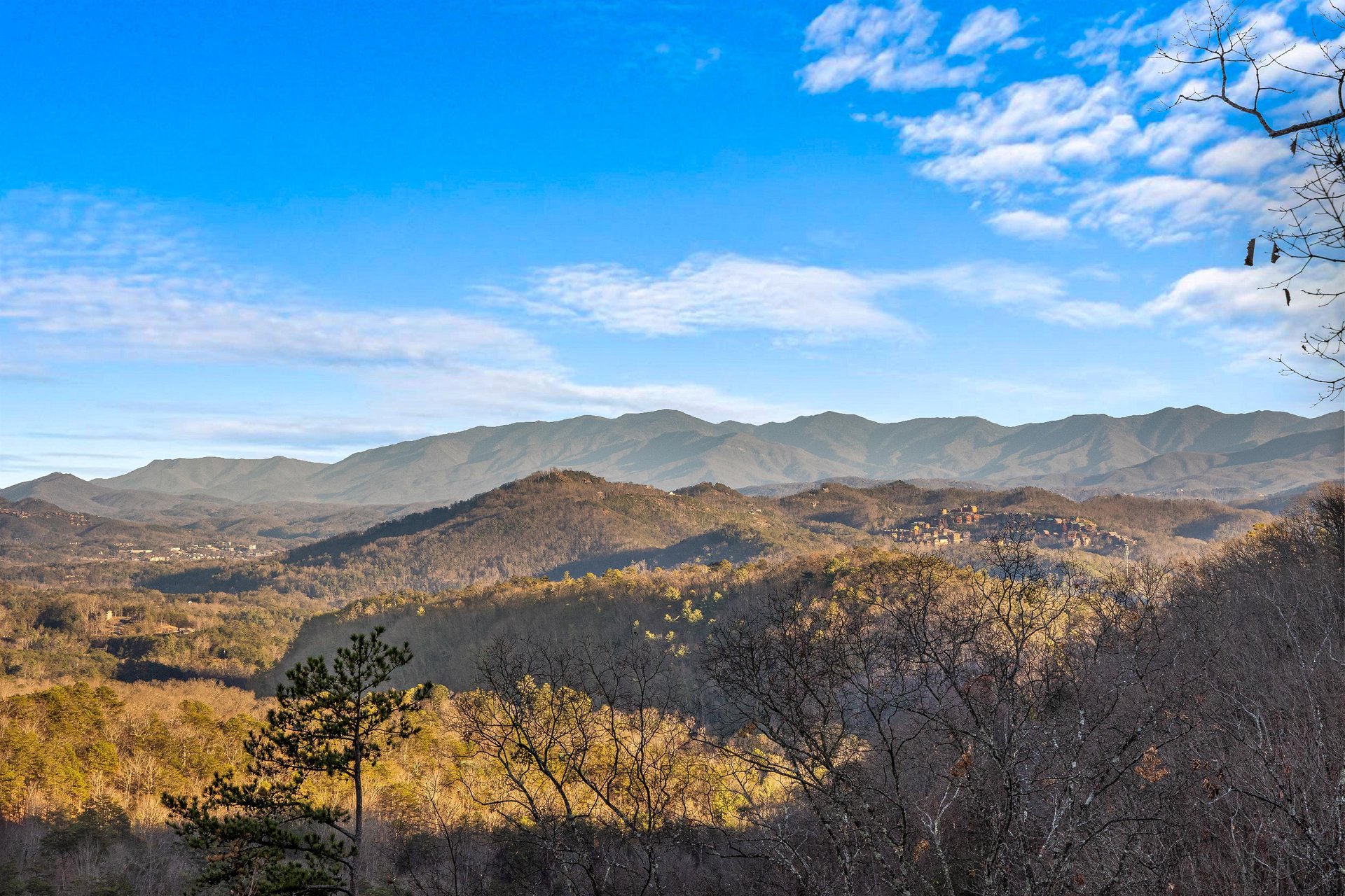 View from Deck