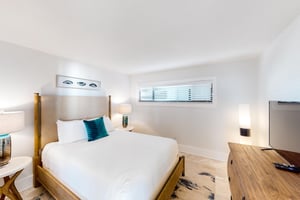 4717157.jpg