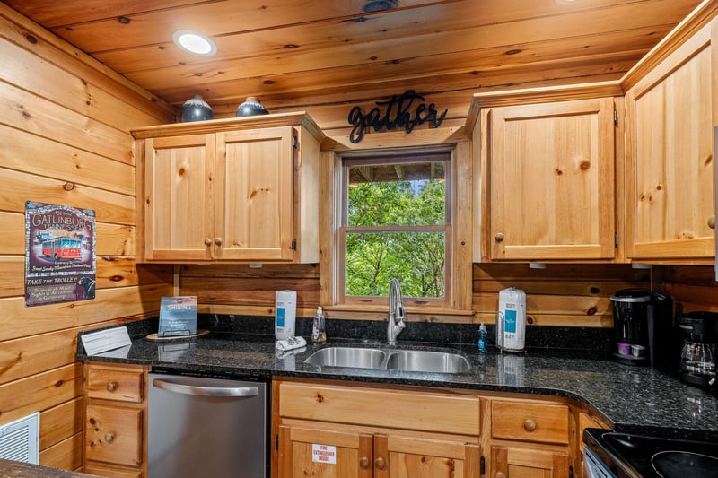full size dishwasher, double sink and natural light