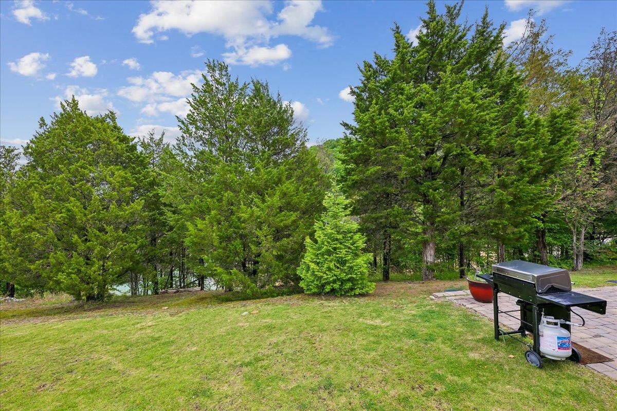 72Back Yard