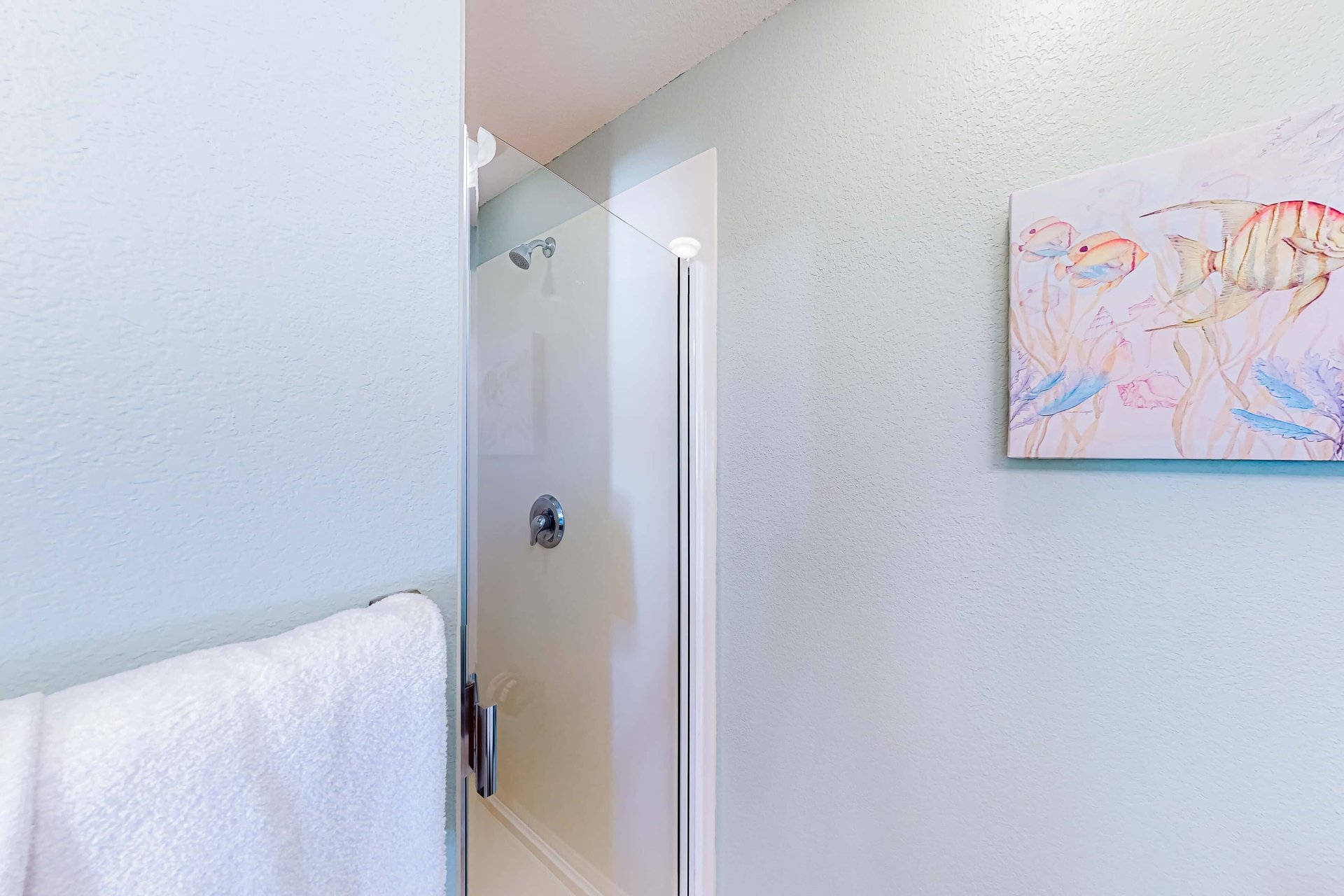 Emerald Dolphin 540 18