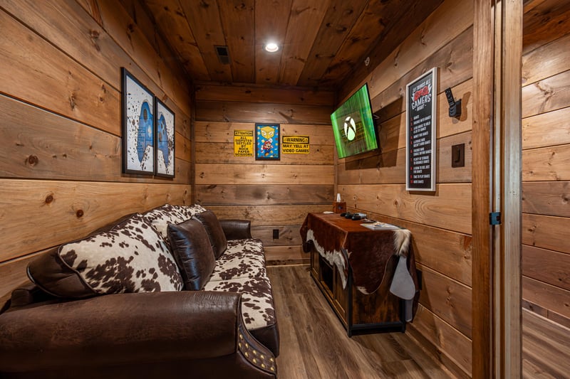 TV Viewing Area
