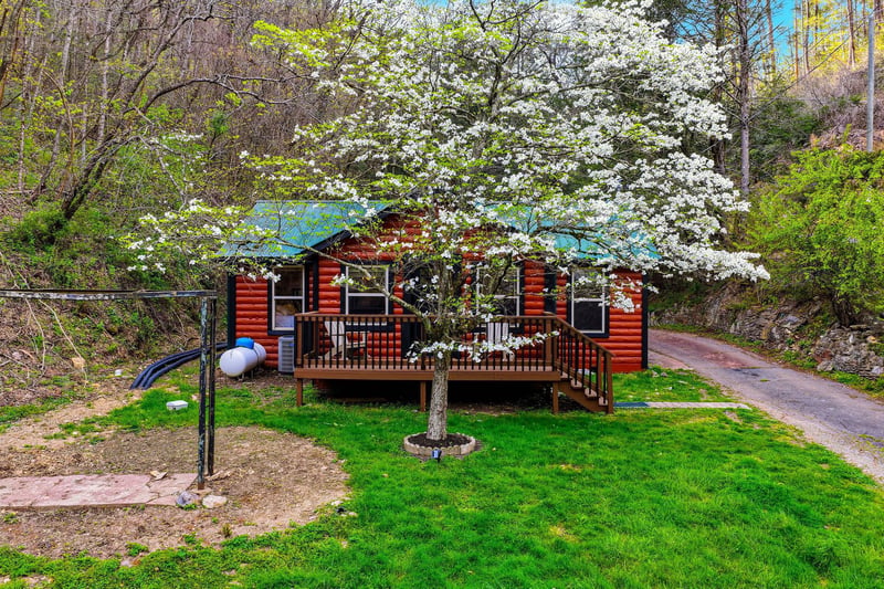Charming red cabin surrounded by blooming spring trees and manicured lawn, creating a peaceful woodland retreat.
