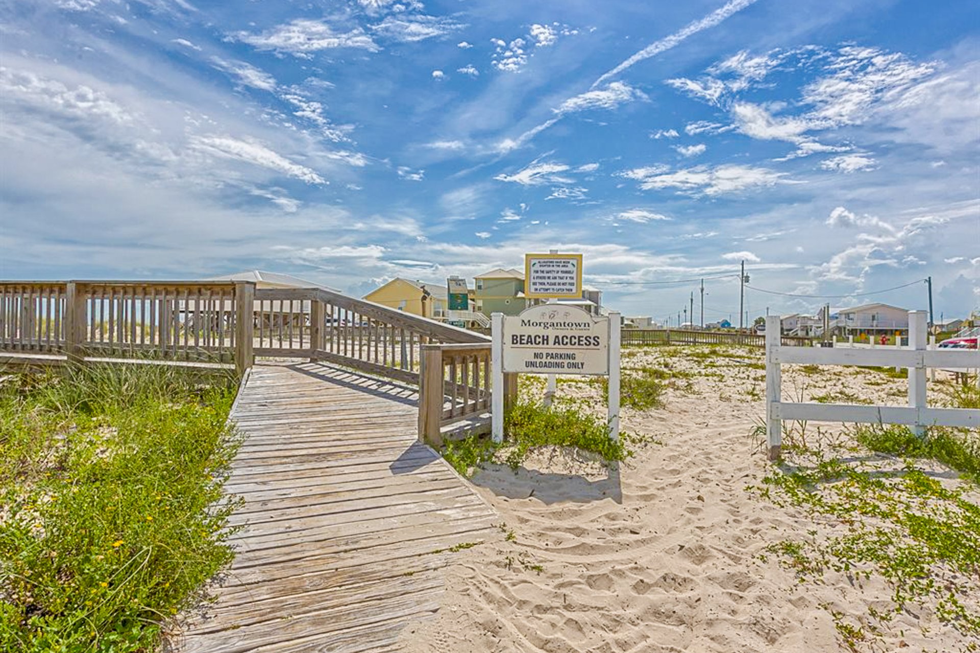Sea Oats E 31