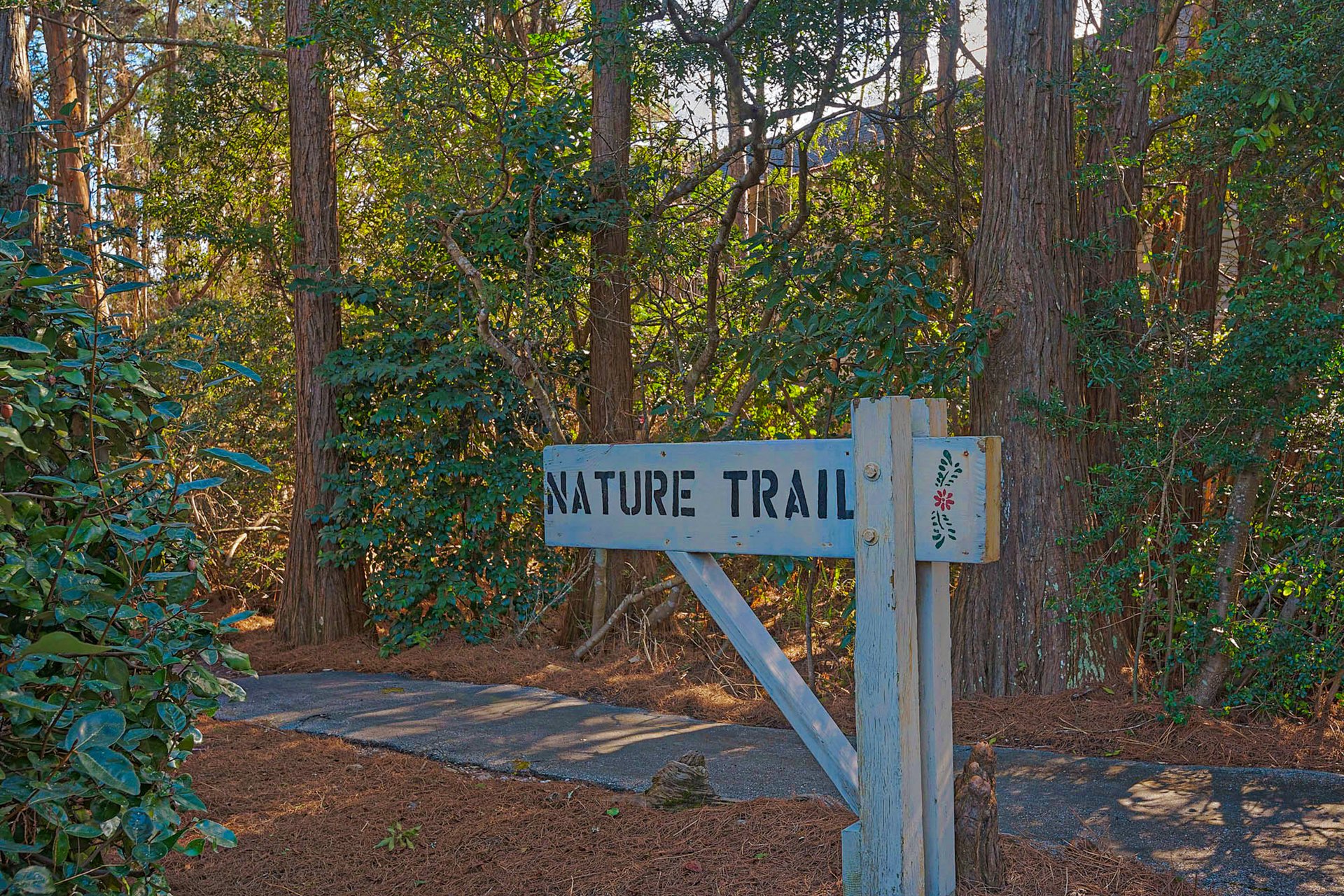 Cassine Village Escape 45