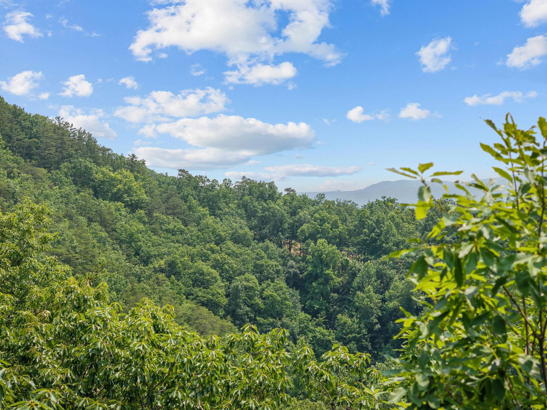 View from View and Me cabin