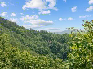 View from View and Me cabin