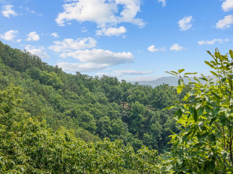 View from View and Me cabin