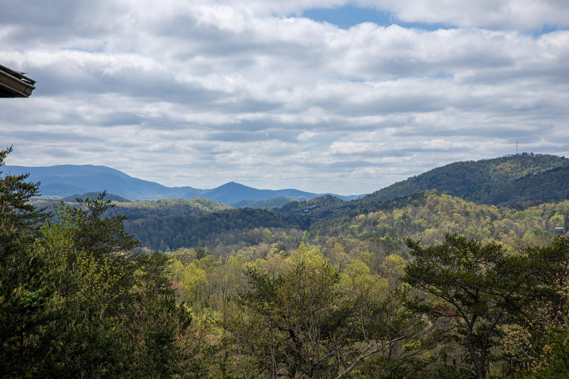 View from Mountain Laurel Lodge cabin