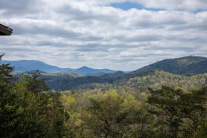 View from Mountain Laurel Lodge cabin