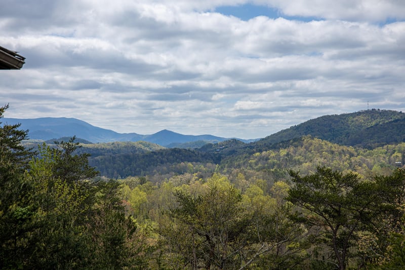 View from Mountain Laurel Lodge cabin