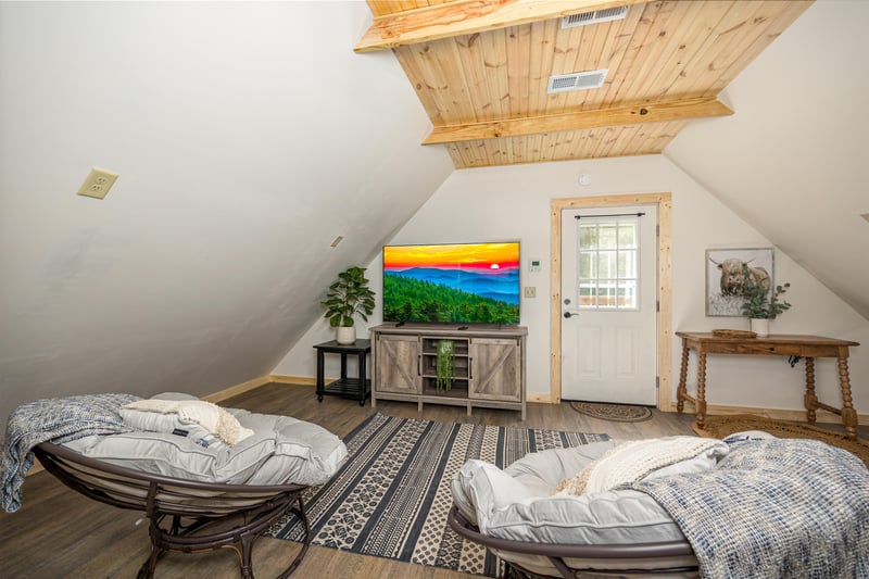 Saucer chairs facing tv