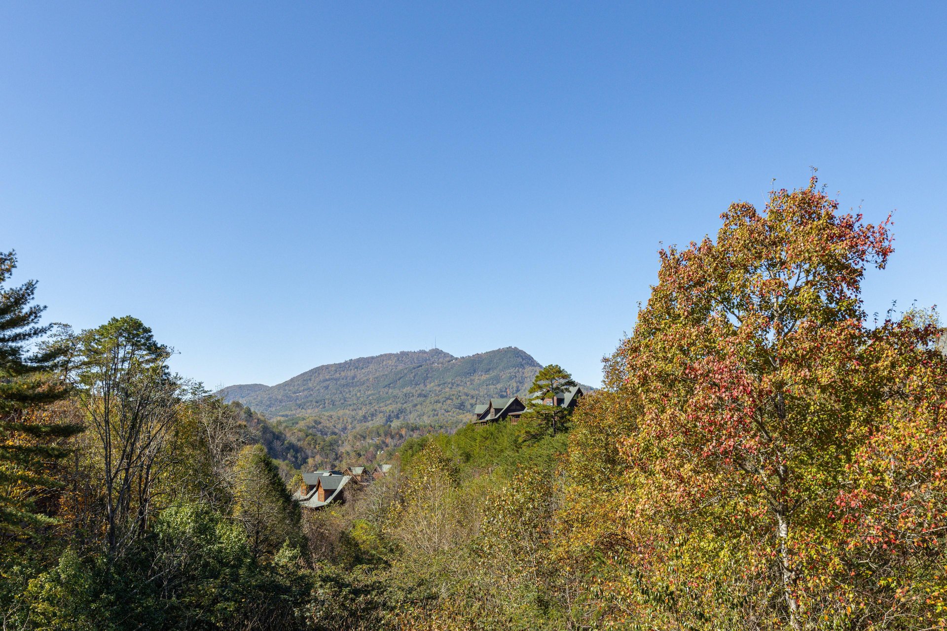 Bluff Mountain view at Bears Dont Bluff, a 3 bedroom cabin rental located in Pigeon Forge