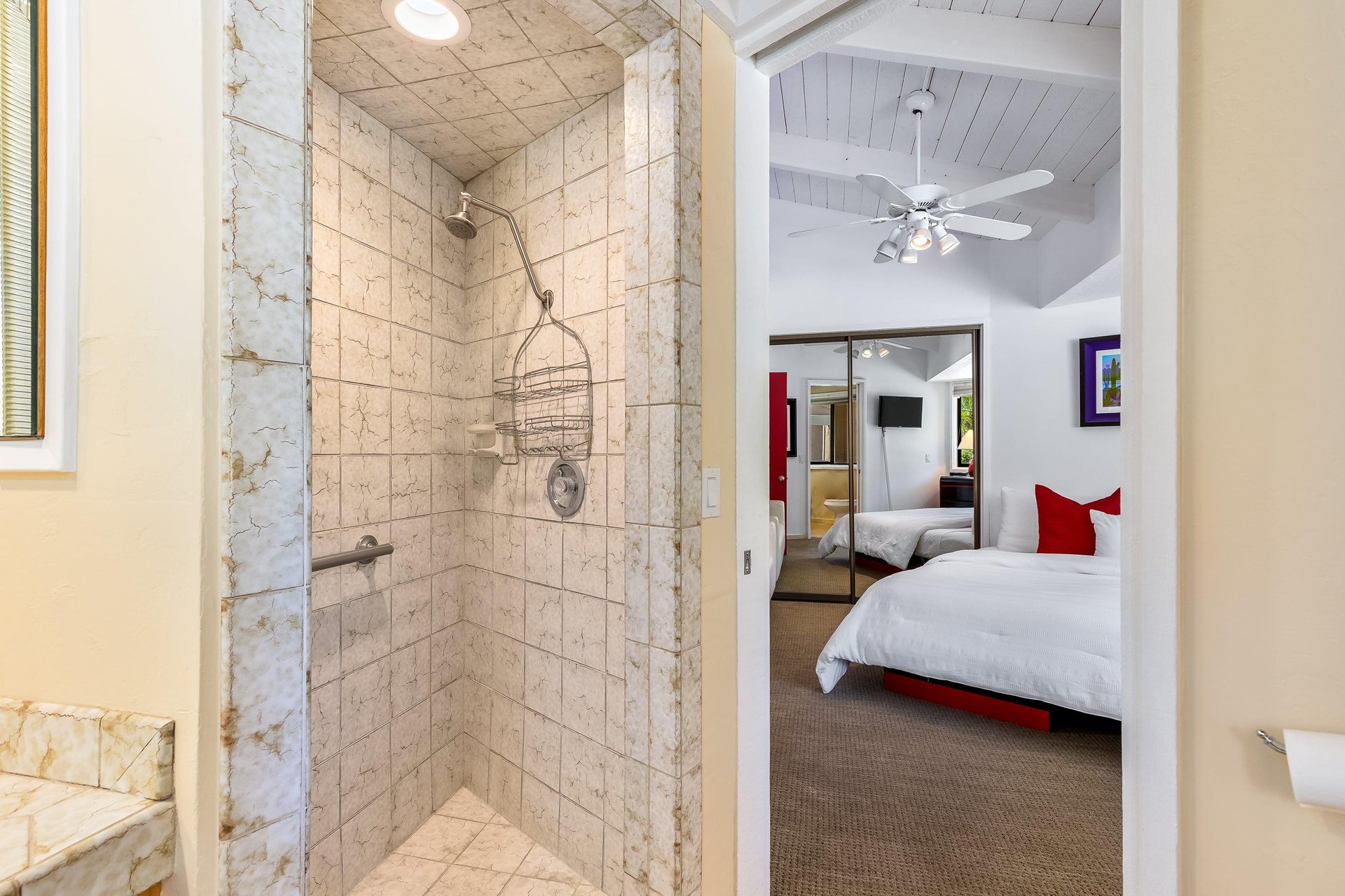 Guest shower