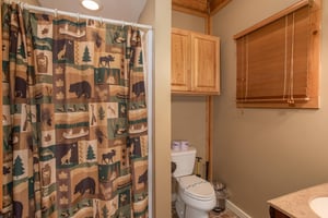 Bathroom with a tub and shower off the game room at Great View Lodge, a 5bedroom cabin rental located in Pigeon Forge