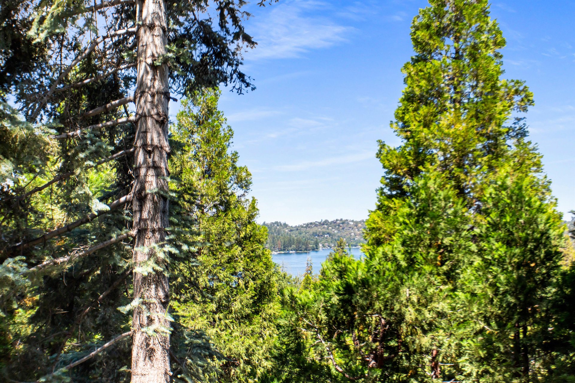 Lake and treetop views.