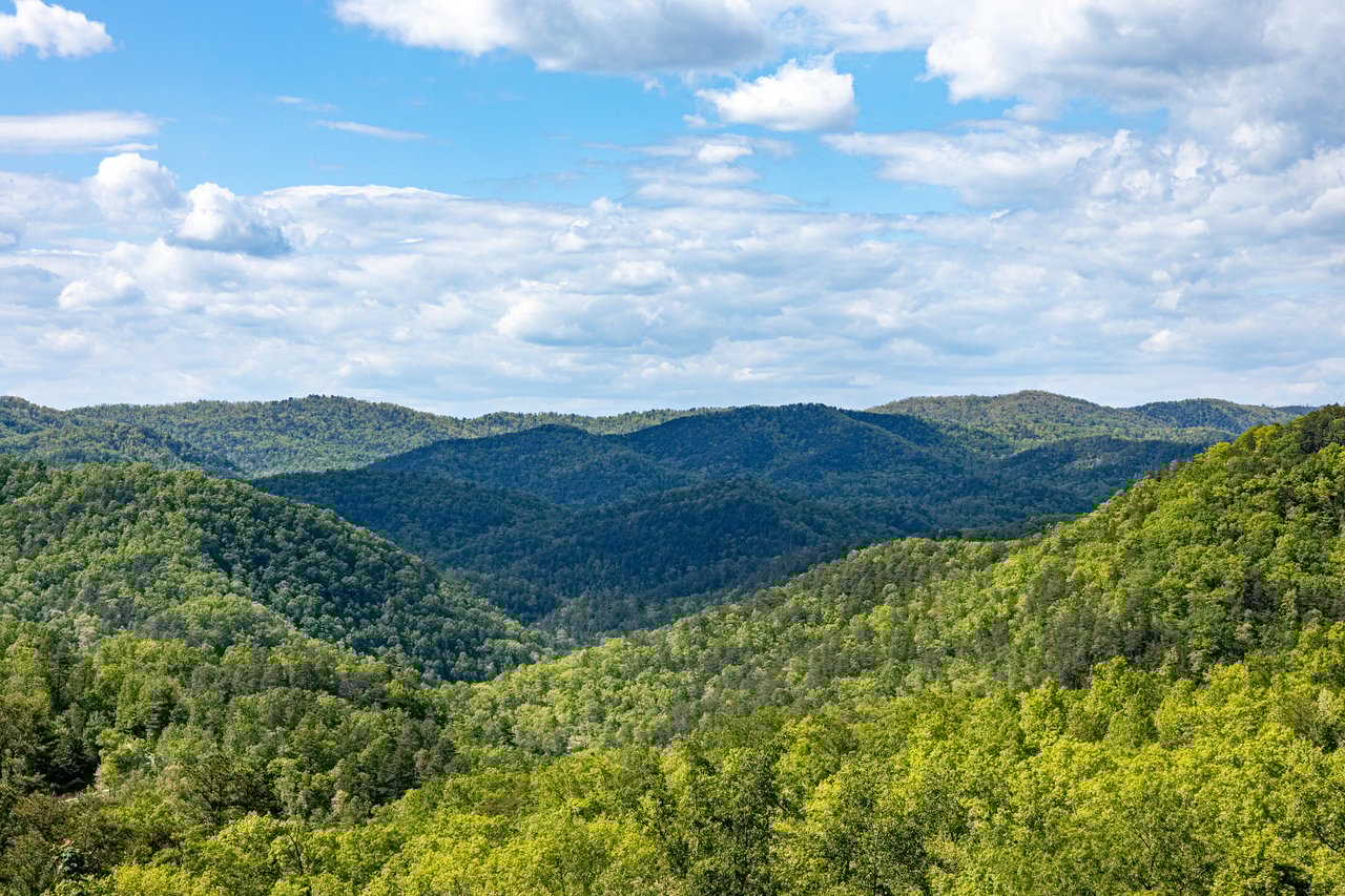 View from Heavenly Homestead cabin