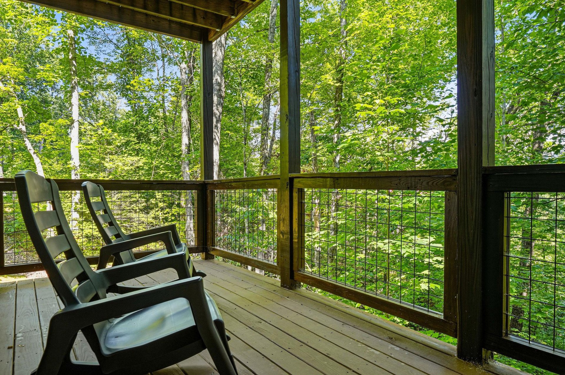 Settle into your own secluded haven and let birch trees and vibrant greens envelop you in natural tranquility.