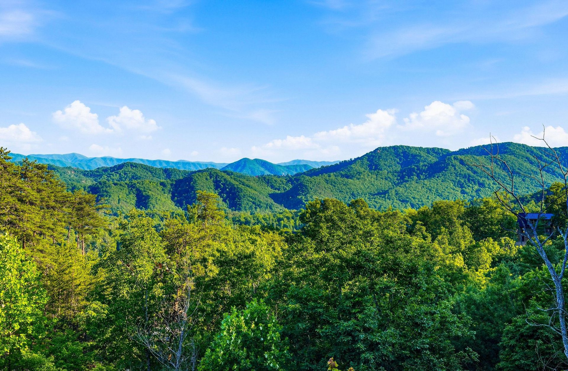 Panoramic mountain vista with lush forested ridges and wind turbines dotting the distant peaks under clear blue skies.