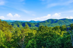 Panoramic mountain vista with lush forested ridges and wind turbines dotting the distant peaks under clear blue skies.