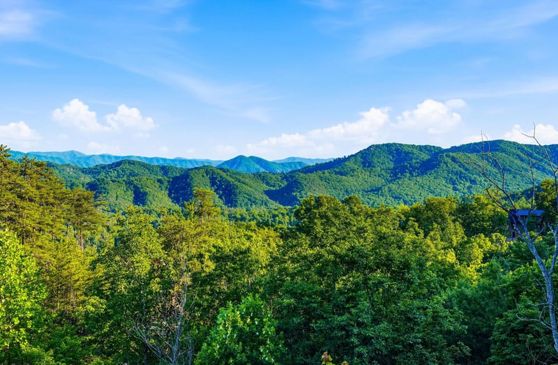 Panoramic mountain vista with lush forested ridges and wind turbines dotting the distant peaks under clear blue skies.