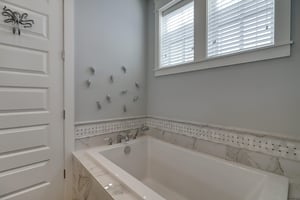 Primary Bathroom, 1st Floor