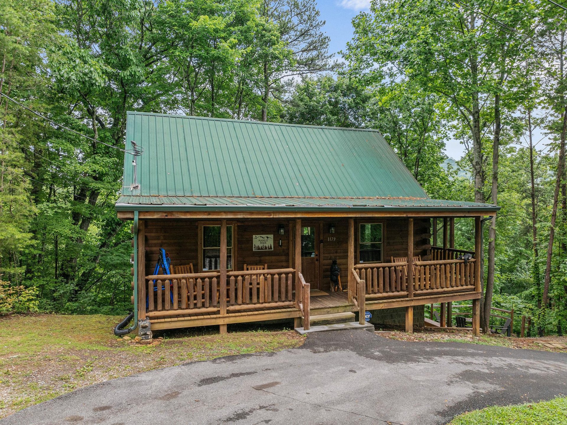 Front of Moonlit Pines